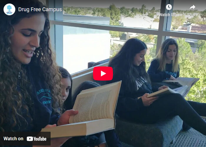 Drug-Free Campus