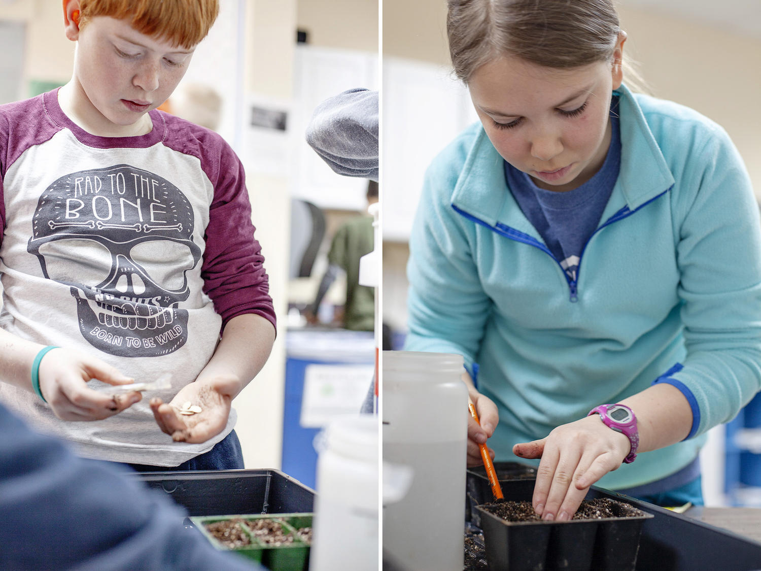 Fifth graders plant seeds in the classroom as part of the Adopt-a-Crop pro