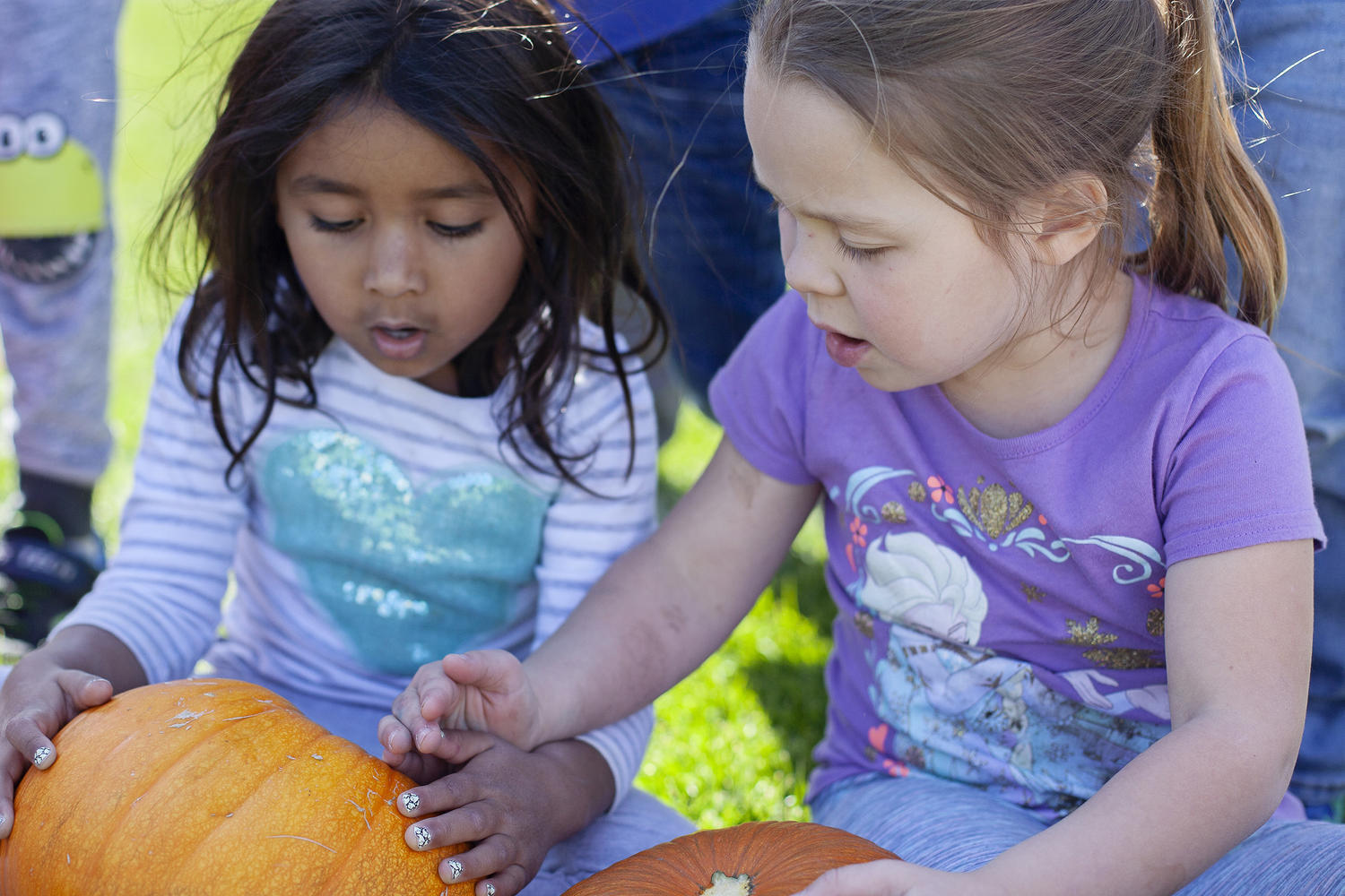 “I thought we were just growing green plants, but they turned into pumpkins," sa