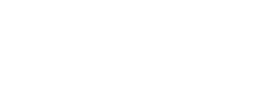 Digistorm logo
