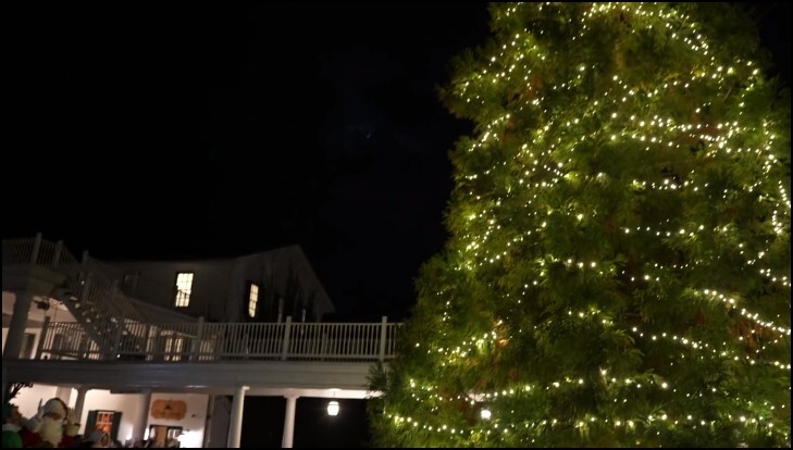 Grier School celebrates Christmas with tree lighting
